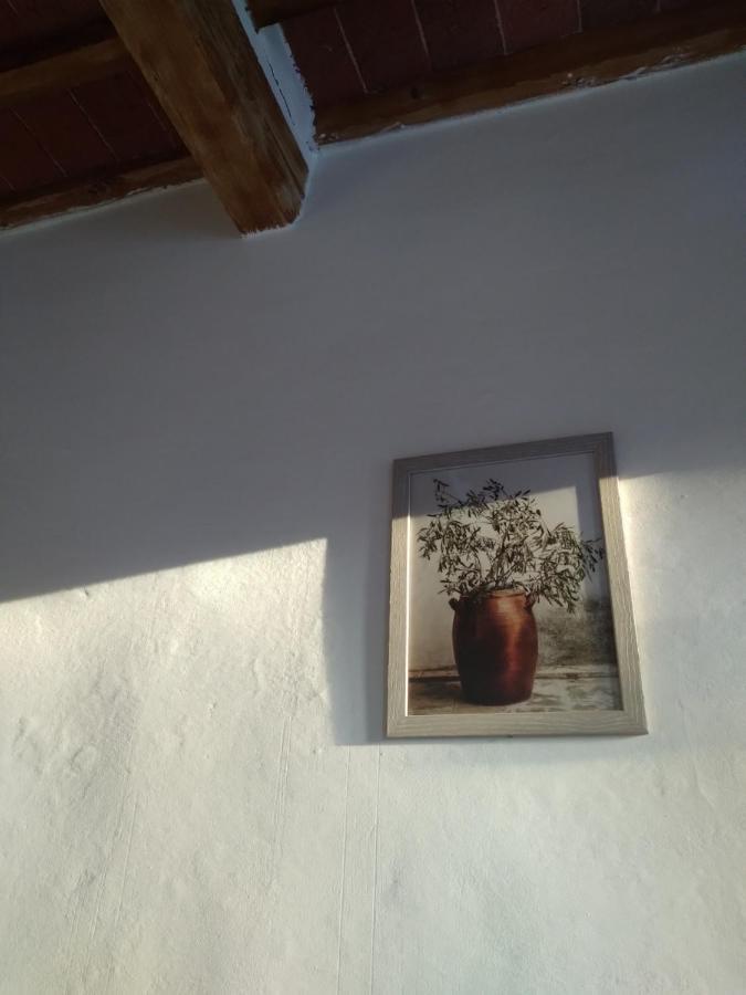Lotte'S Guesthouse Livorno Exterior photo